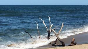 Sweet Suite Sinemorets