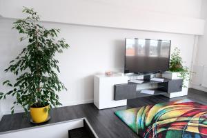 Main Square Oval Apartment 