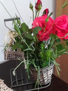 Alloggio Turistico Civico 4