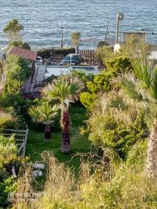 Georgia Seaside Villa