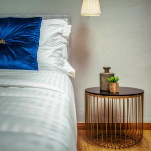 Luxury penthouse apartment near the city center