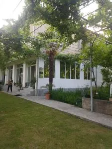 Hotel Villa DavidL - Sasadilo