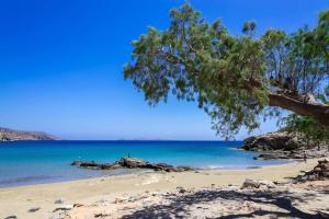 Sitia Old Port Apartment Lasithi Greece