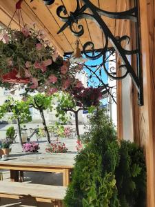 Hotel du Balcon photo 6