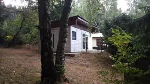 Bungalowdorf Klein Budelsdorf - Waldidylle