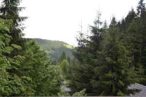 Casa "Cabana Varciorog Arieseni"