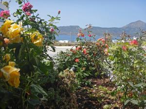 Christos rooms milos Milos Greece