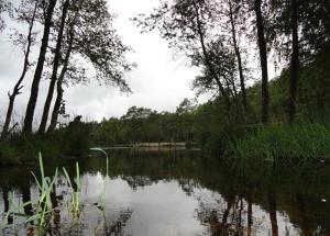 Pokoje Szczenurze