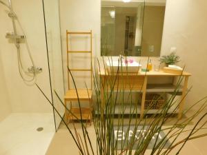 Serenity delux apartment
