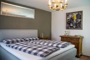 Ferienwohnungen im Dorfwirt - 布莱夏 Ferienwohnungen im Dorfwirt - 布莱夏