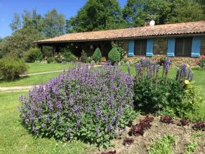 La Serre de Marou photo 15