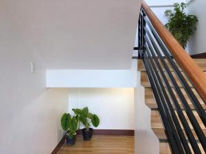 Za Priscila Tourist Inn