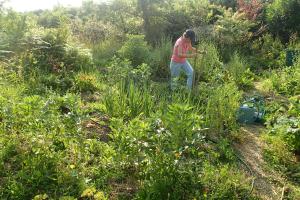 Sejours chez l'habitant Ricouch, chambre d'hotes et permaculture : photos des chambres