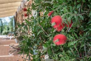 Appartamento con vista panoramica e piscina