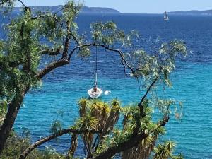 Hotel Lorangeraie 3 étoiles Au Lavandou Avec Jardin Et