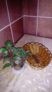 Kuća Dragović Apartman