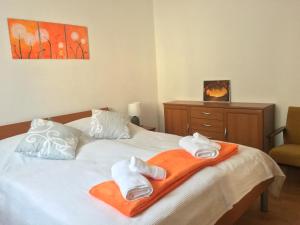 Apartment Milin