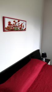 Carlas House - Relax a Scalea tra mare e monti