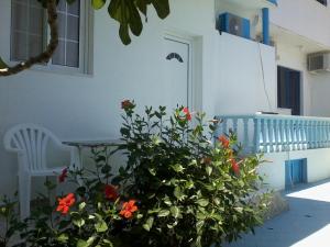 Iris Apartments Rhodes Greece