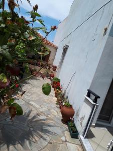 POPI 'S HOME Thassos Greece