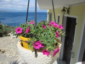 Kallisto studios ex Kalypso Lakonia Greece