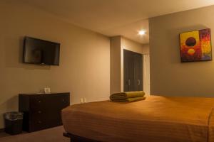 BONITTO INN® Tampico Lomas