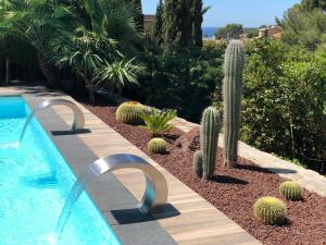 Maisons d'hotes THE ADDRESS CASSIS : photos des chambres