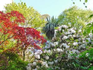 Kilmokea Country Manor & Gardens