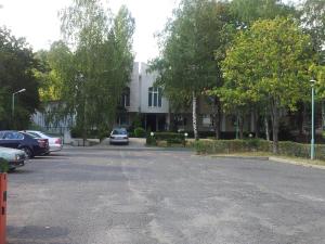 One-Bedroom Suite room in Hostel Elena