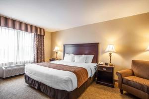 King Room - Non-Smoking room in Comfort Inn Mcminnville