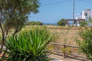 Studio Tolakis Naxos Greece