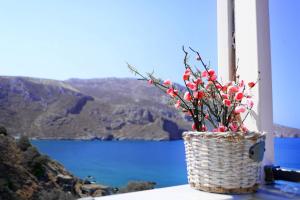 MOUSELIS APARTMENTS Kalymnos Greece