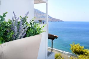 MOUSELIS APARTMENTS Kalymnos Greece