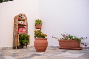 MOUSELIS APARTMENTS Kalymnos Greece
