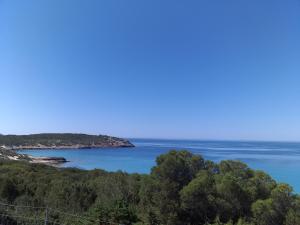 B&B Il Girasole img21