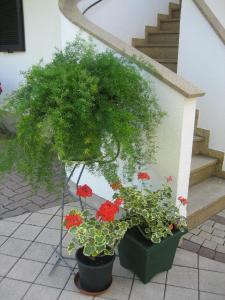 Appartement Weissbacher