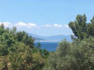 PYRGOS RALLI ESTATE Guesthouse