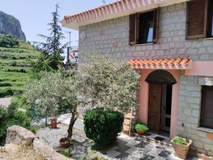 B&B Taccu Maccu img12