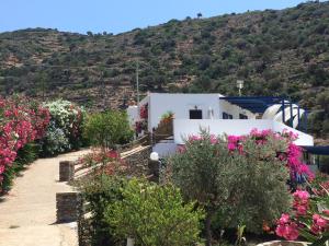 Villa Costa Studios Sifnos Greece