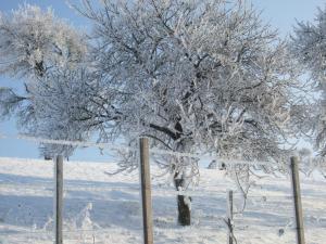 Ferienwohnung Bockelt