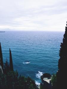 Il Nido del Gabbiano