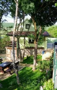 Green House Source Vrilo - Zidine