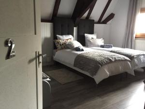 Appartements Duplex Saint Lustre, view over castle and storks, 5 mn from Colmar : photos des chambres