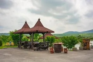 Pastravaria Ursu - Oglinzi