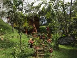 ESTACION PARAISO DE DANTAS - Cisneros