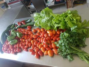 B&B / Chambres d'hotes Chateau d'Ardree : photos des chambres