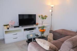 Apartment Petar