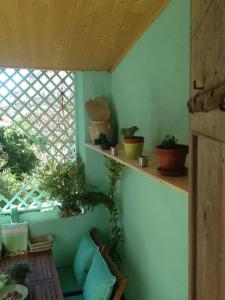 Appartements La Terrasse du Mole : photos des chambres