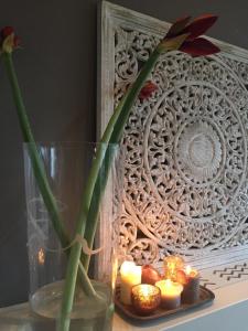 Charming countryhouse near Amsterdam