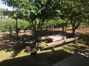 Eko Apartmani Krackovic